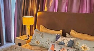 Premium Quality Fully Furnished (2800sqft) Brand New Luxurious Apartment Rent in Gulshan